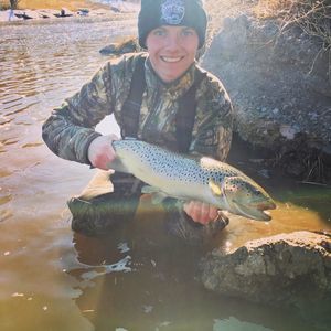 Meet your Posher, Austin